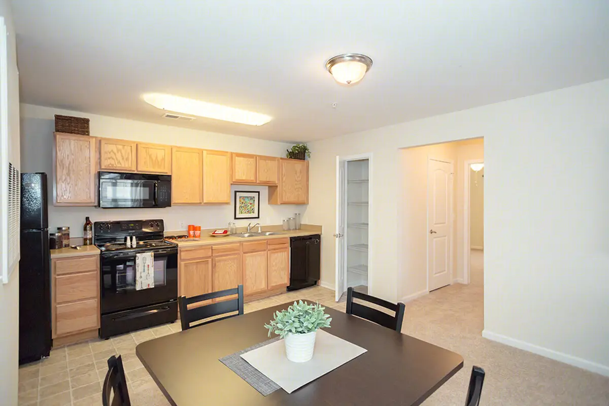 Mountain Valley Apartment Kitchen