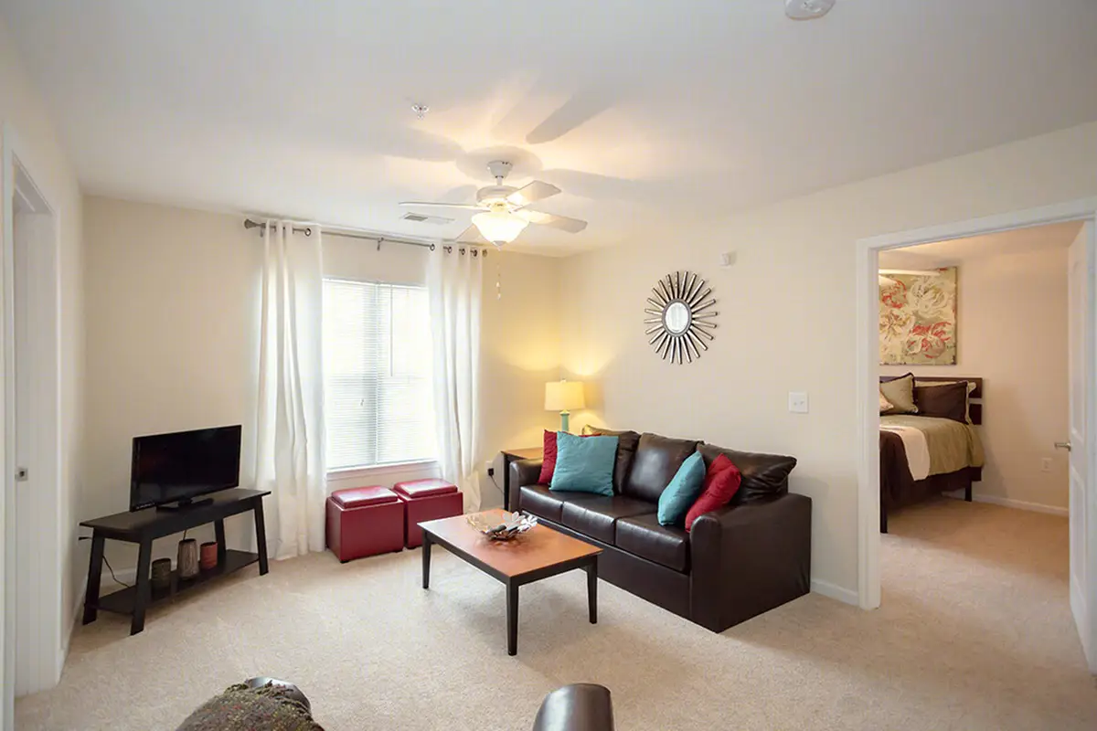 Mountain Valley Apartment Living Room