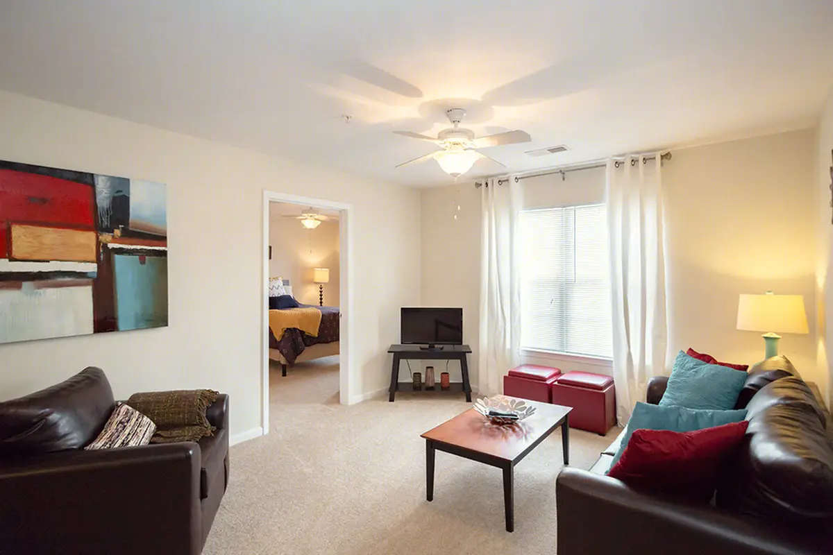 Mountain Valley Apartment Living Room