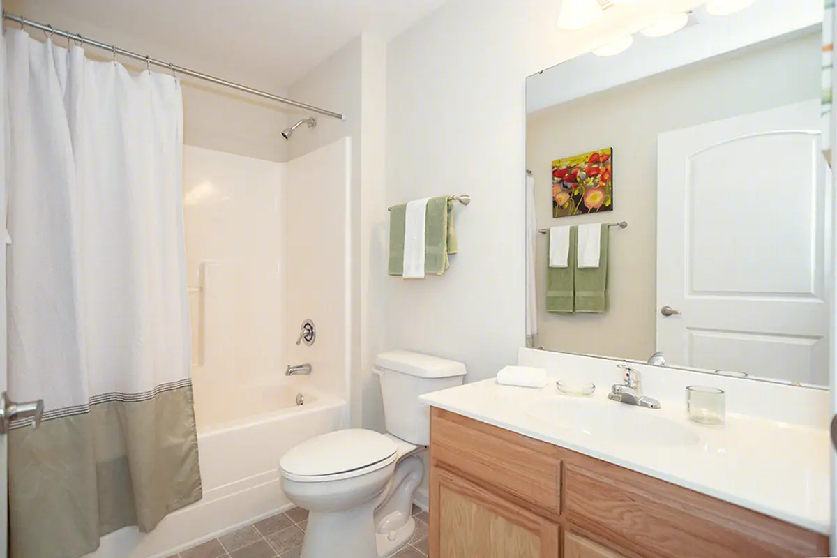 Mountain Valley Apartment Bathroom